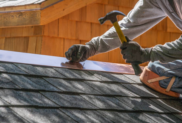 Best Roof Moss and Algae Removal  in Belleville, MI
