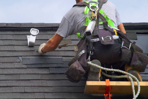 Best Emergency Roof Repair Services  in Belleville, MI