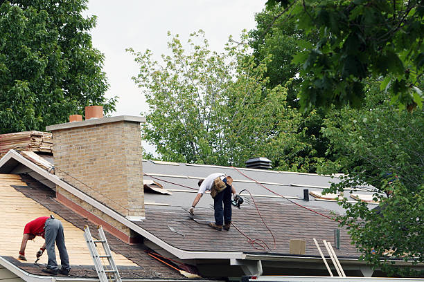 Best Roof Maintenance and Cleaning  in Belleville, MI