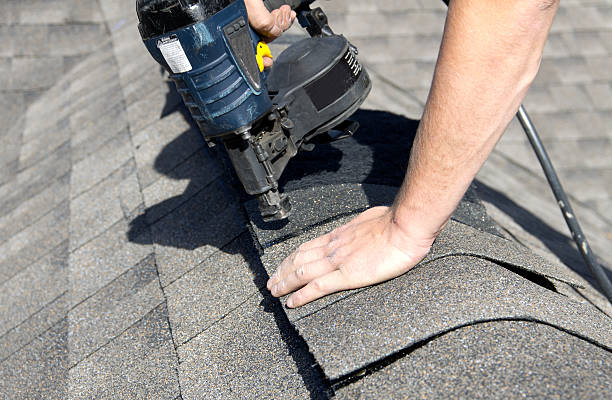 Best Sheet Metal Roofing  in Belleville, MI