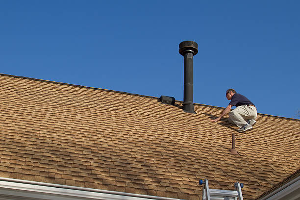 Best Roof Coating and Sealing  in Belleville, MI