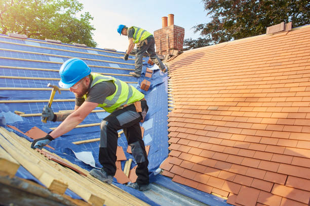 Best Roof Waterproofing  in Belleville, MI